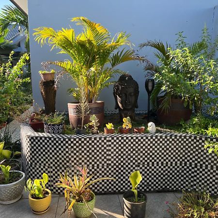 Pasifika Guesthouse Нанди Экстерьер фото
